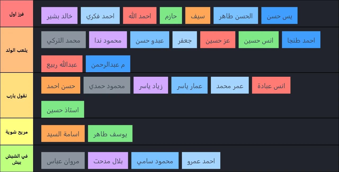 ملعب ريو